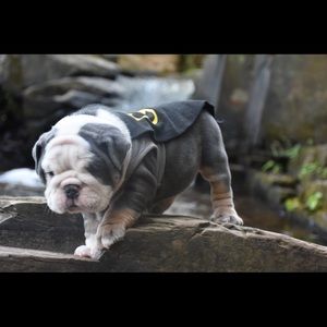 Meet your Posher, Crystal